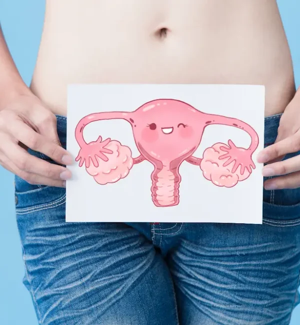 Decodifican-por-primera-vez-el-comportamiento-celular-del-endometrio-humano Nutricionista para amenorrea hipotalámica ¡Recupera tu periodo con nosotras!